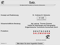 Hypermediasystem Salz